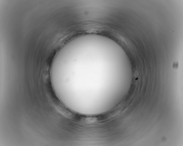 X0000092080554200709121108