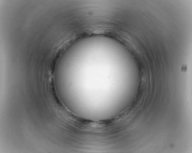 X0000092080555200709121108