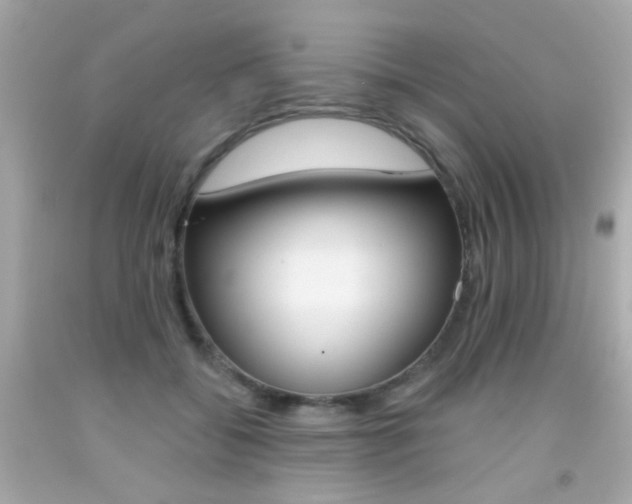 X0000092080556200709121108