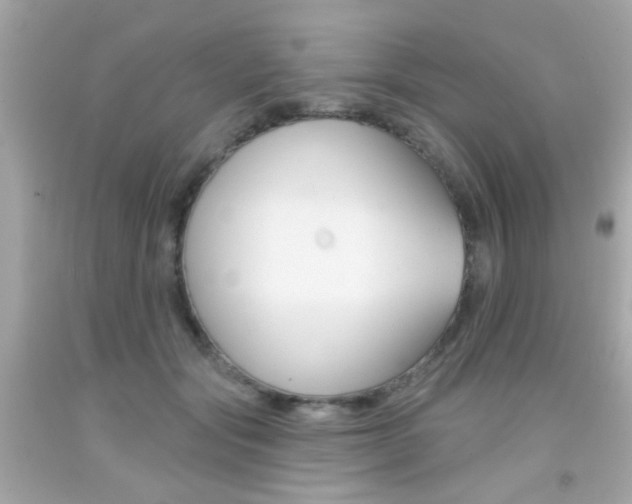 X0000092080557200709121108