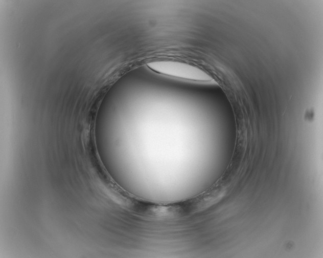 X0000092080558200709121108