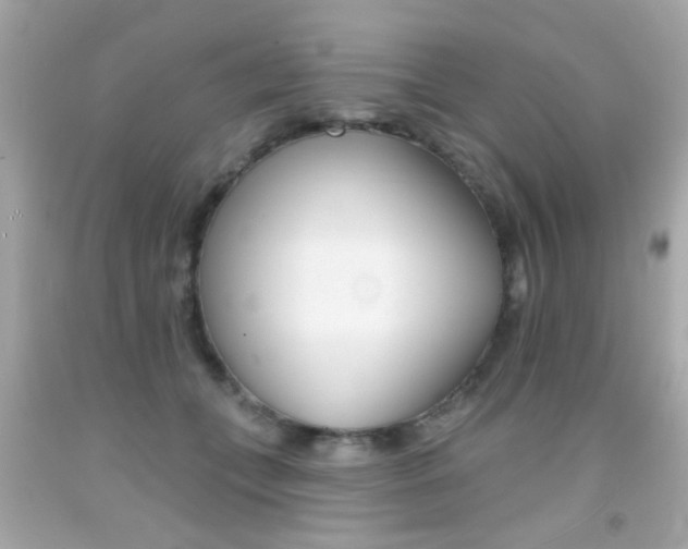 X0000092080559200709121108