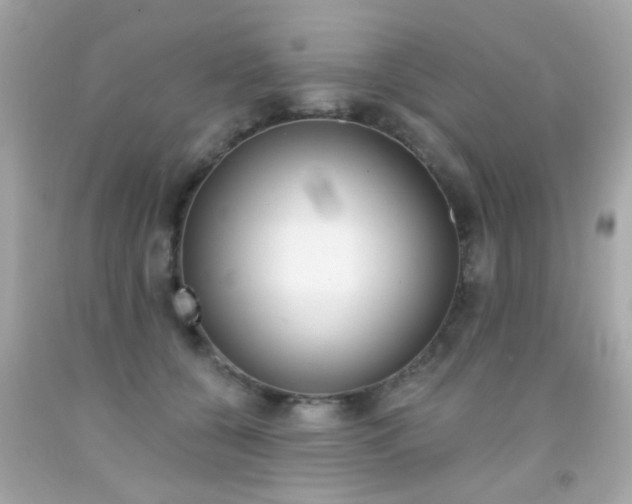 X0000092080560200709121108