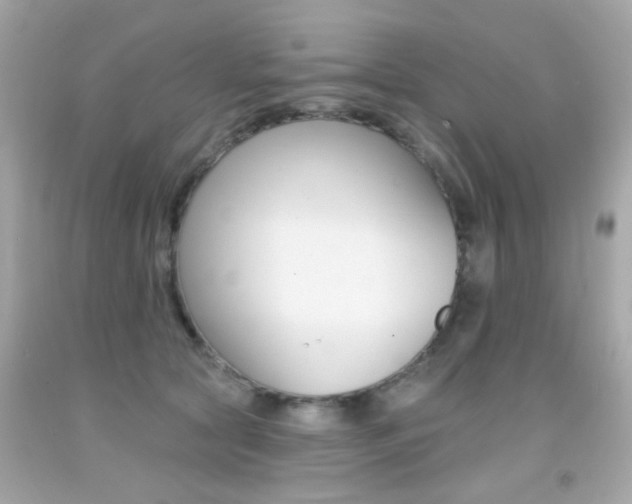 X0000092080561200709121108