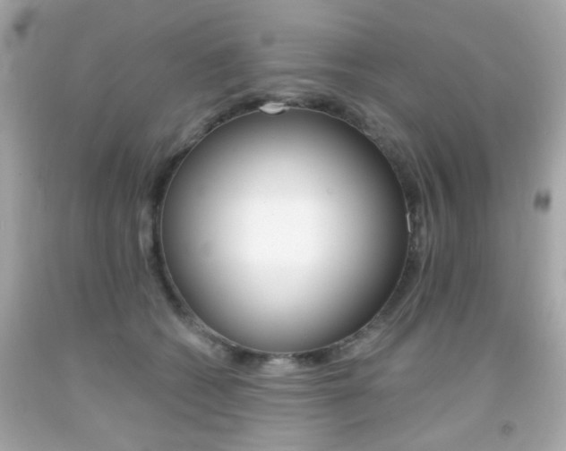 X0000092080562200709121108