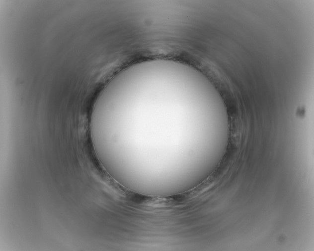 X0000092080563200709121108