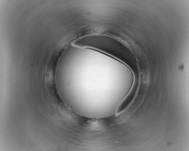 X0000092080564200709121108