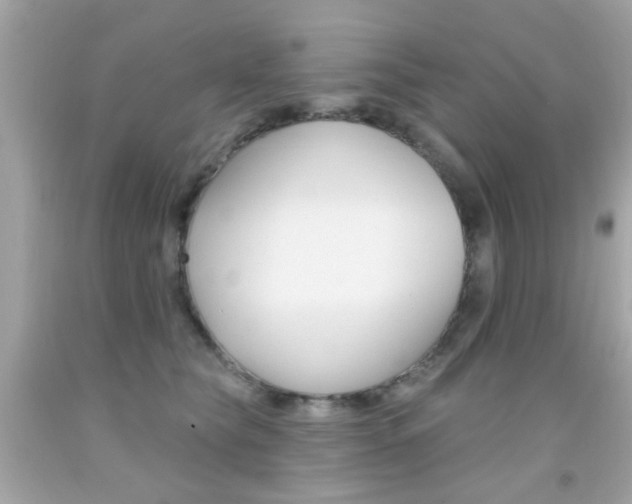 X0000092080565200709121108
