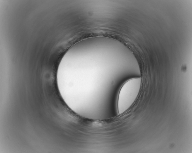 X0000092080566200709121108