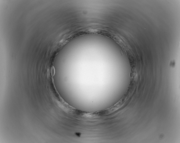 X0000092080568200709121108