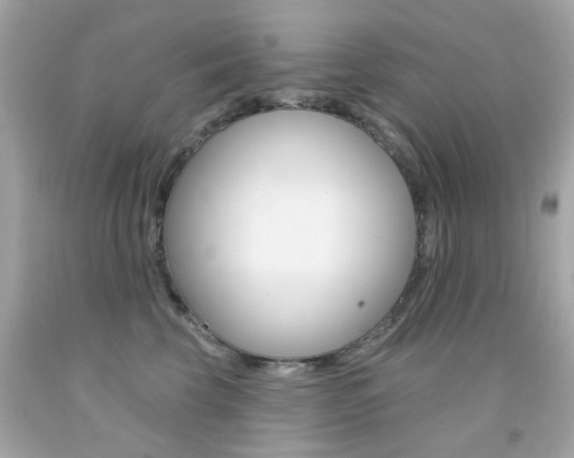 X0000092080569200709121108