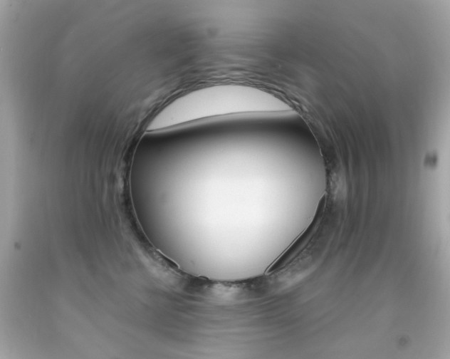 X0000092080570200709121108