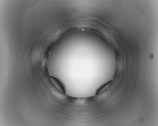 X0000092080574200709121108