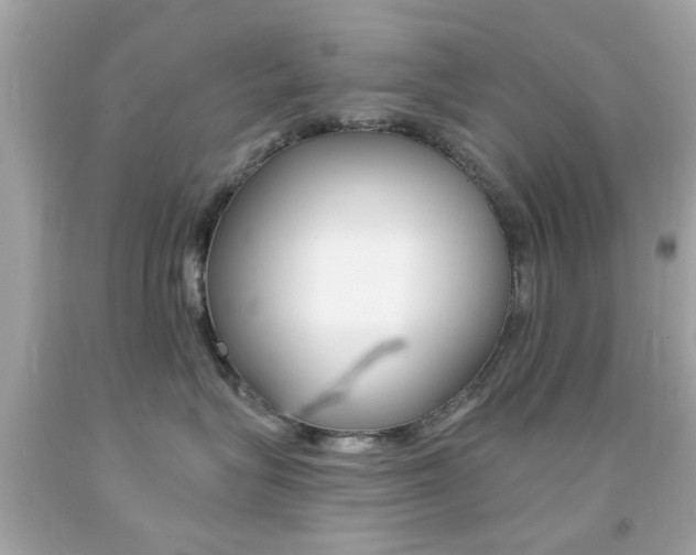 X0000092080575200709121108