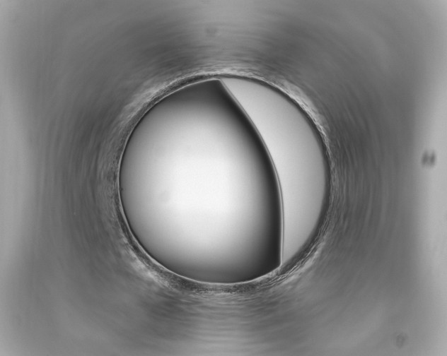 X0000092080577200709121107