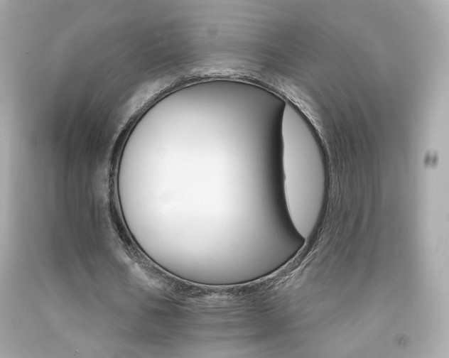 X0000092080578200709121107
