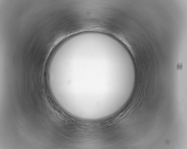 X0000092080579200709121107