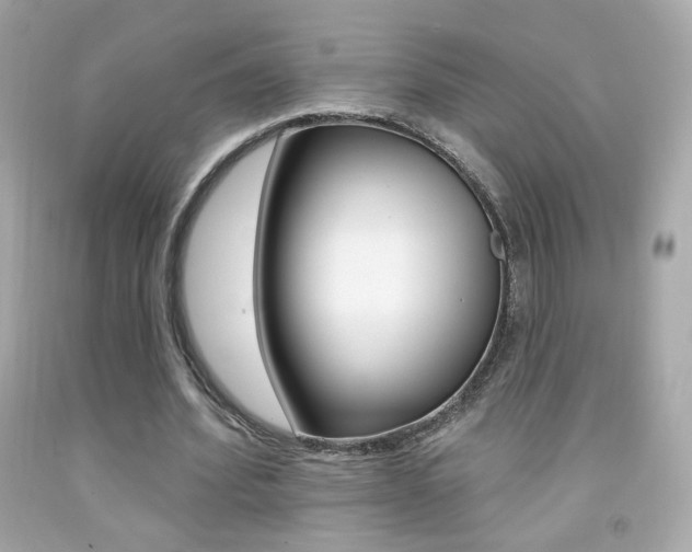 X0000092080580200709121107