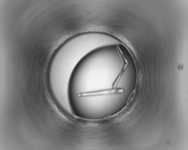 X0000092080581200709121107