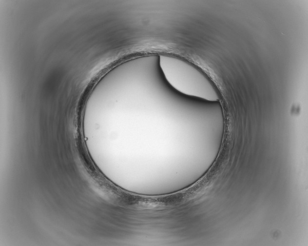 X0000092080582200709121107