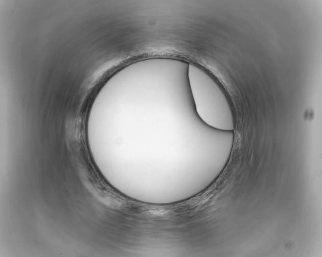 X0000092080583200709121107
