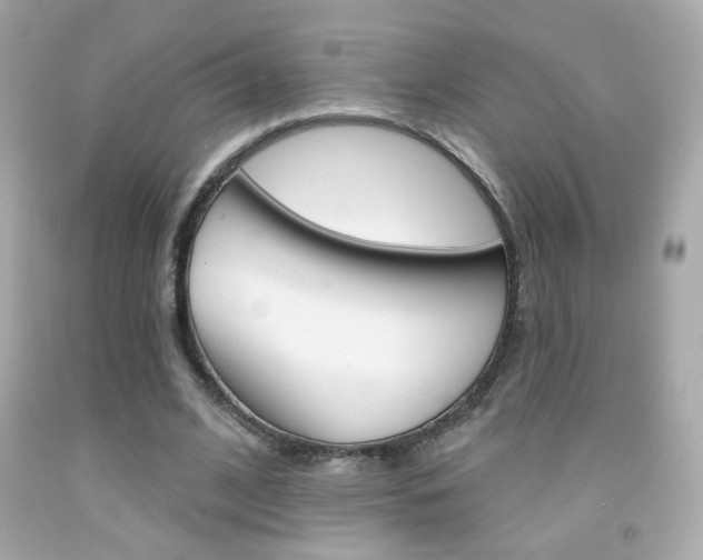 X0000092080584200709121107