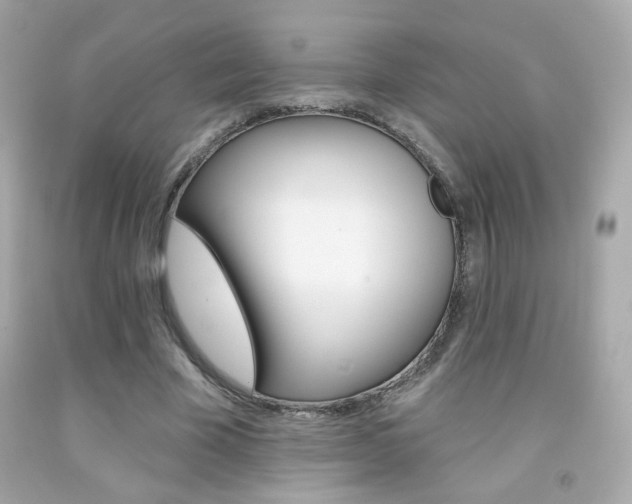 X0000092080585200709121107