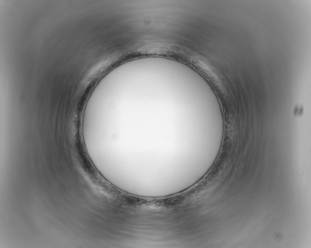 X0000092080586200709121107