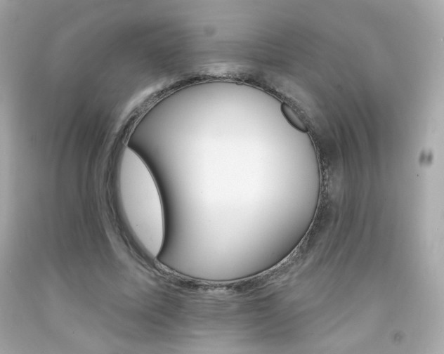 X0000092080587200709121107