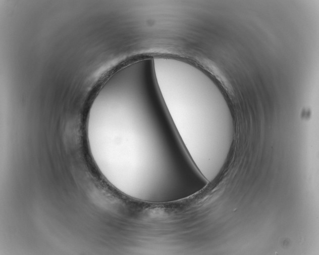 X0000092080588200709121107