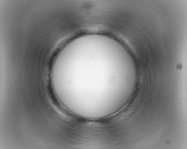 X0000092080590200709121107