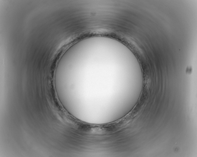 X0000092080591200709121107