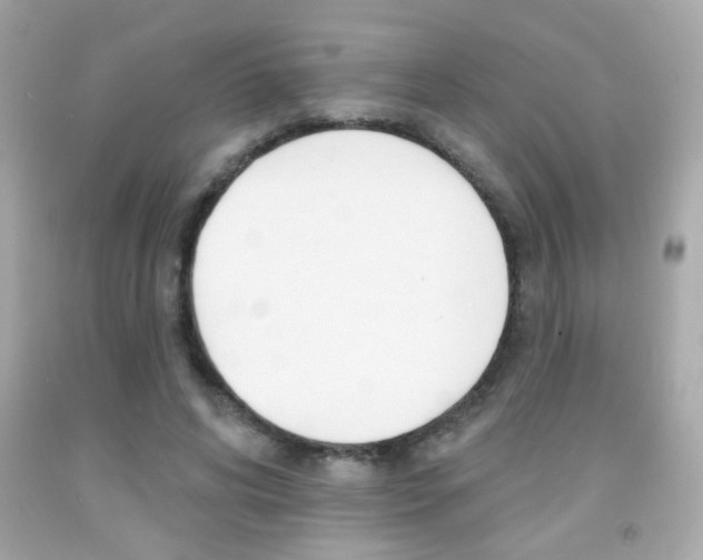 X0000092080592200709121107
