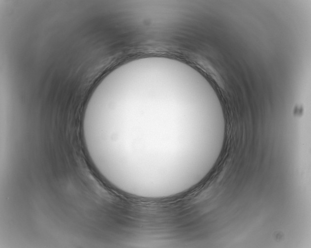 X0000092080593200709121107
