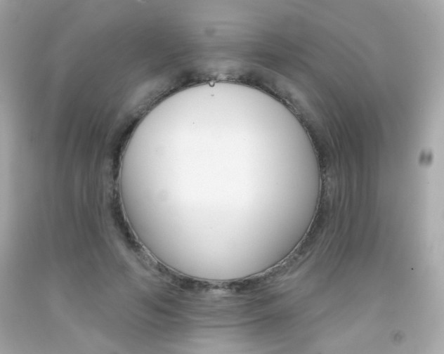 X0000092080594200709121107