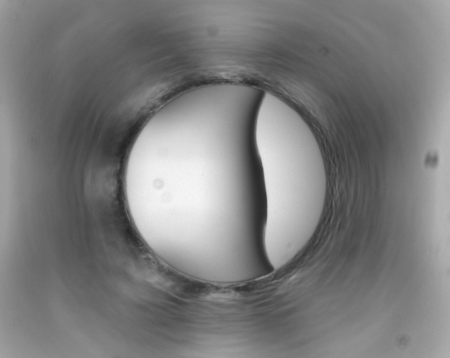 X0000092080595200709121107