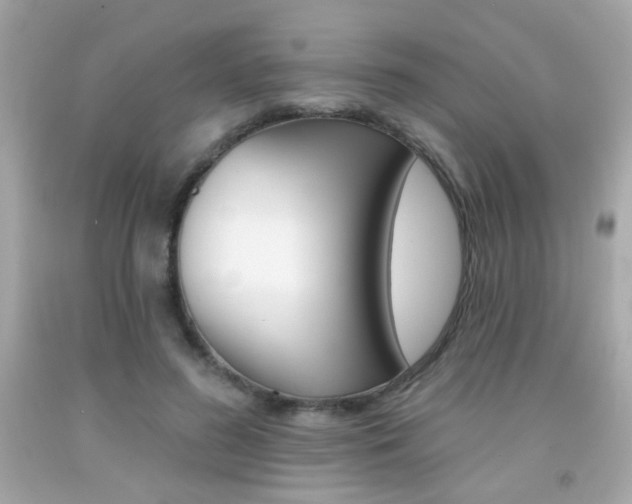 X0000092080596200709121107