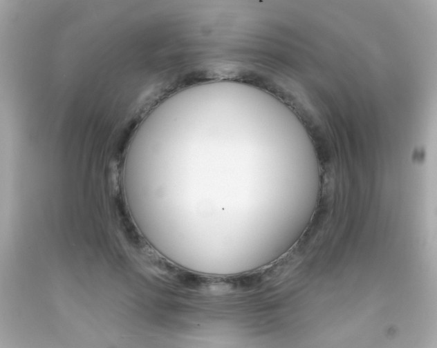 X0000092080598200709121107
