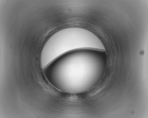 X0000092080600200709121107