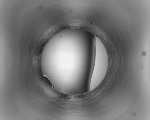 X0000092080601200709121107