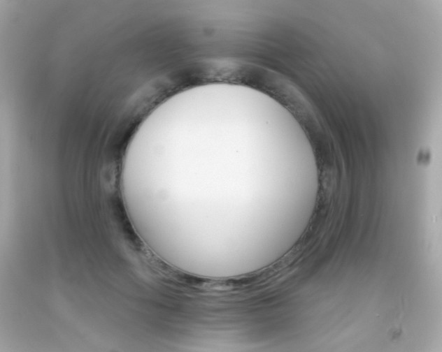X0000092080602200709121107