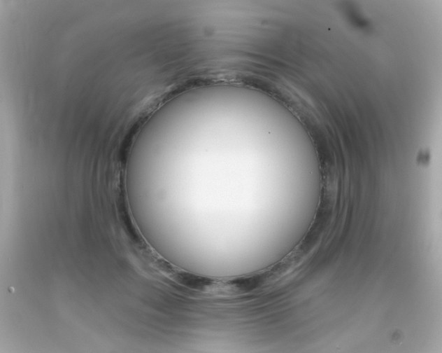 X0000092080603200709121107