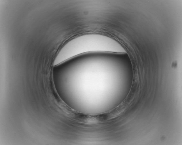 X0000092080604200709121107
