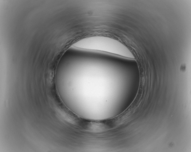 X0000092080605200709121107