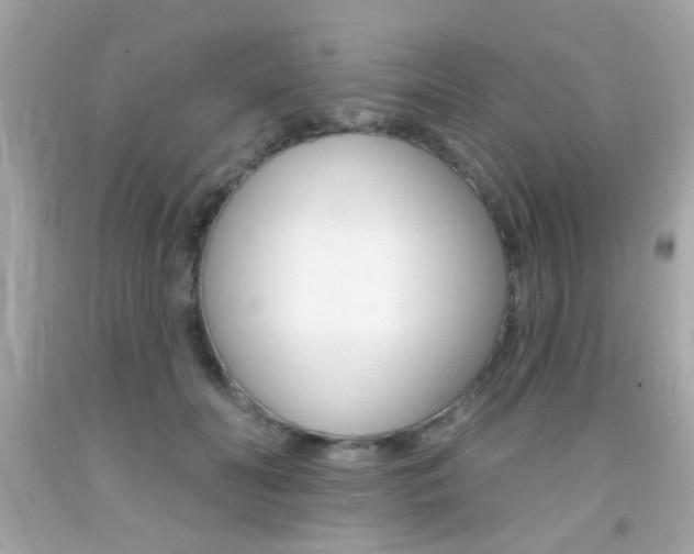 X0000092080606200709121107
