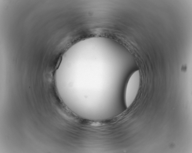 X0000092080611200709121107