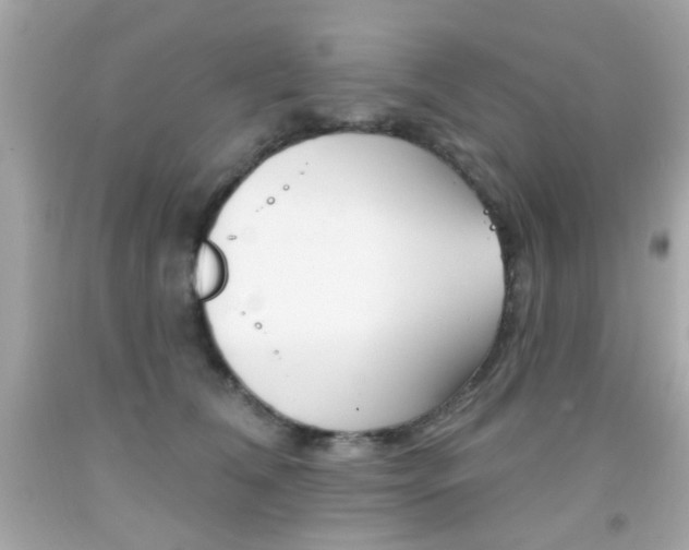 X0000092080612200709121107
