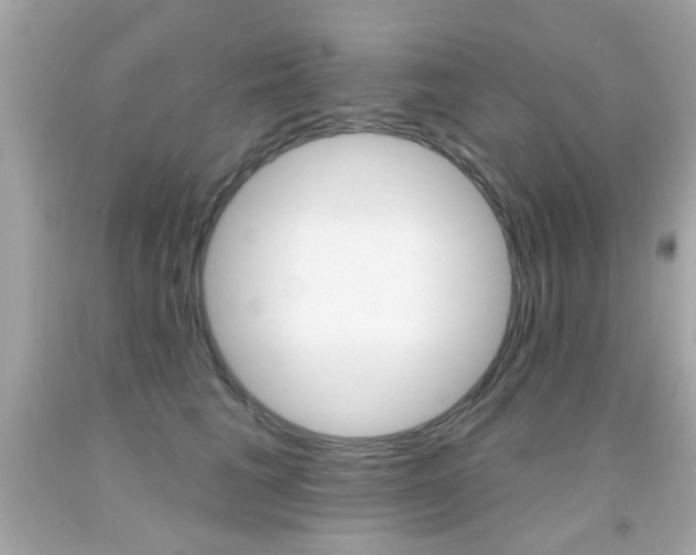 X0000092080613200709121107