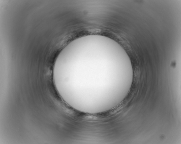 X0000092080614200709121107