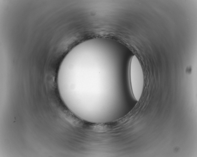 X0000092080615200709121107